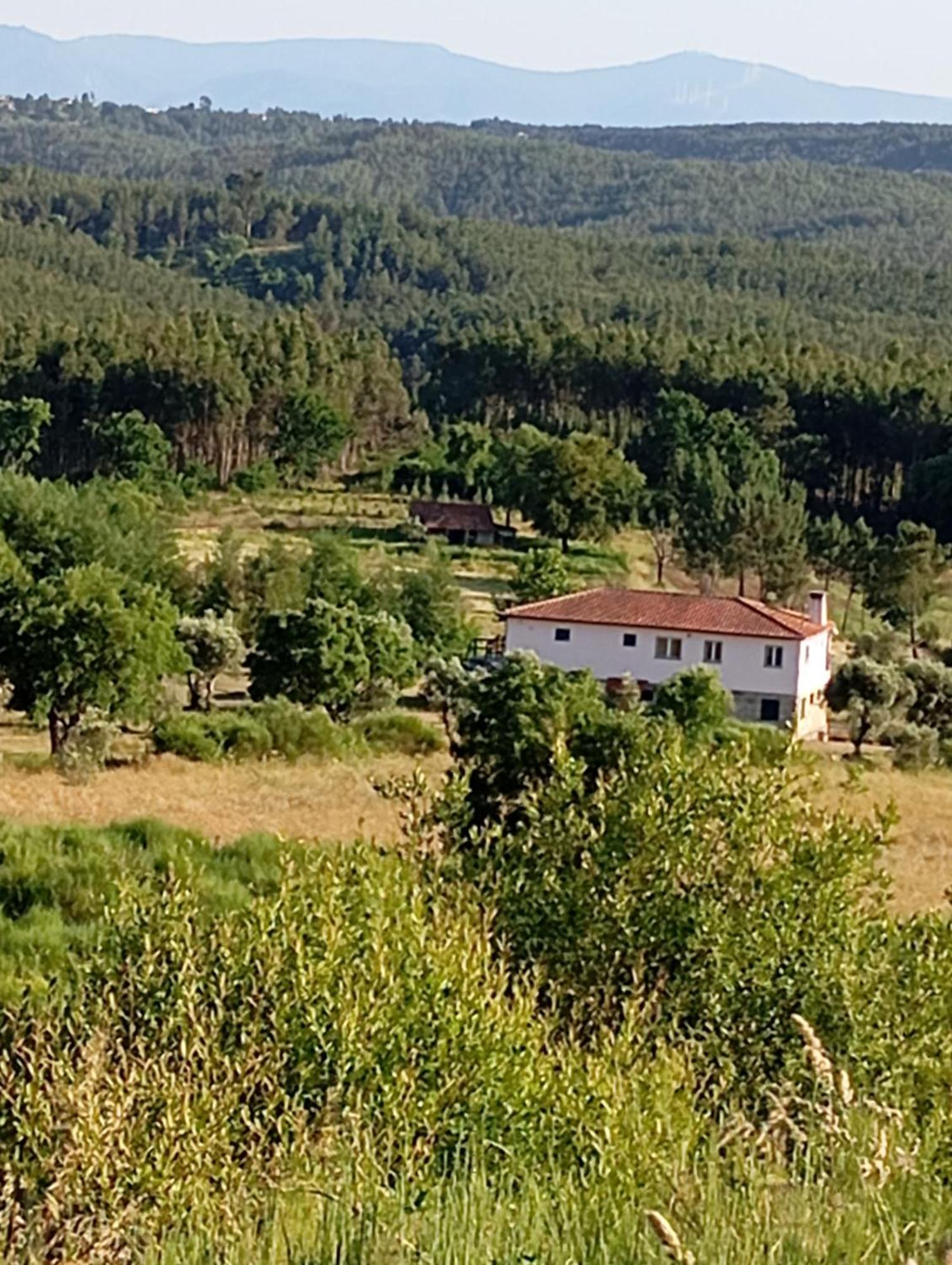 Quinta Da Barroca Do Cabo Bed & Breakfast Azere  Exterior photo