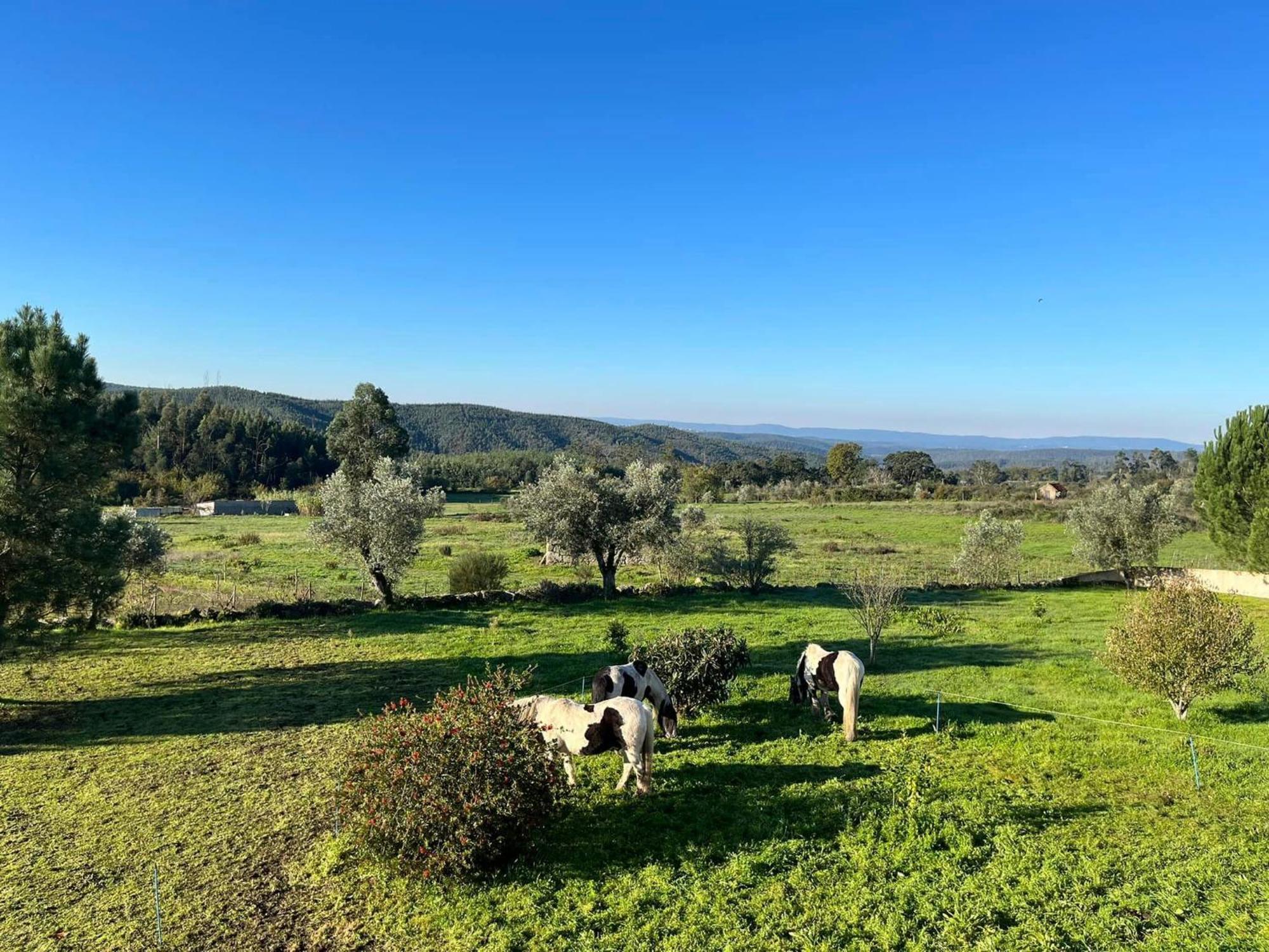 Quinta Da Barroca Do Cabo Bed & Breakfast Azere  Exterior photo